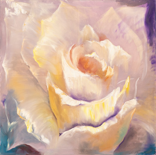 Soft Pink Rose