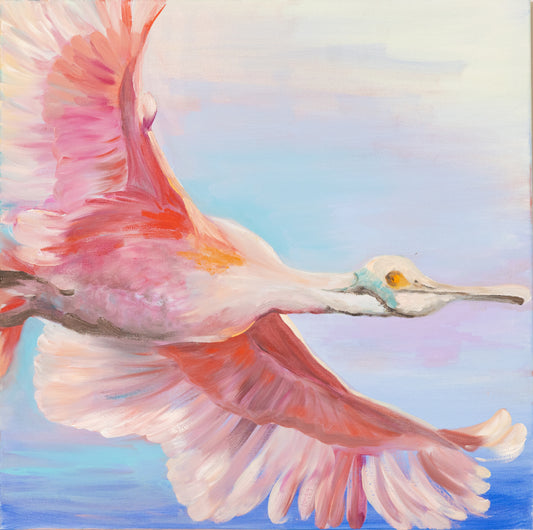 Pink spoonbill
