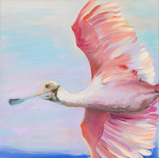 Pink spoonbills