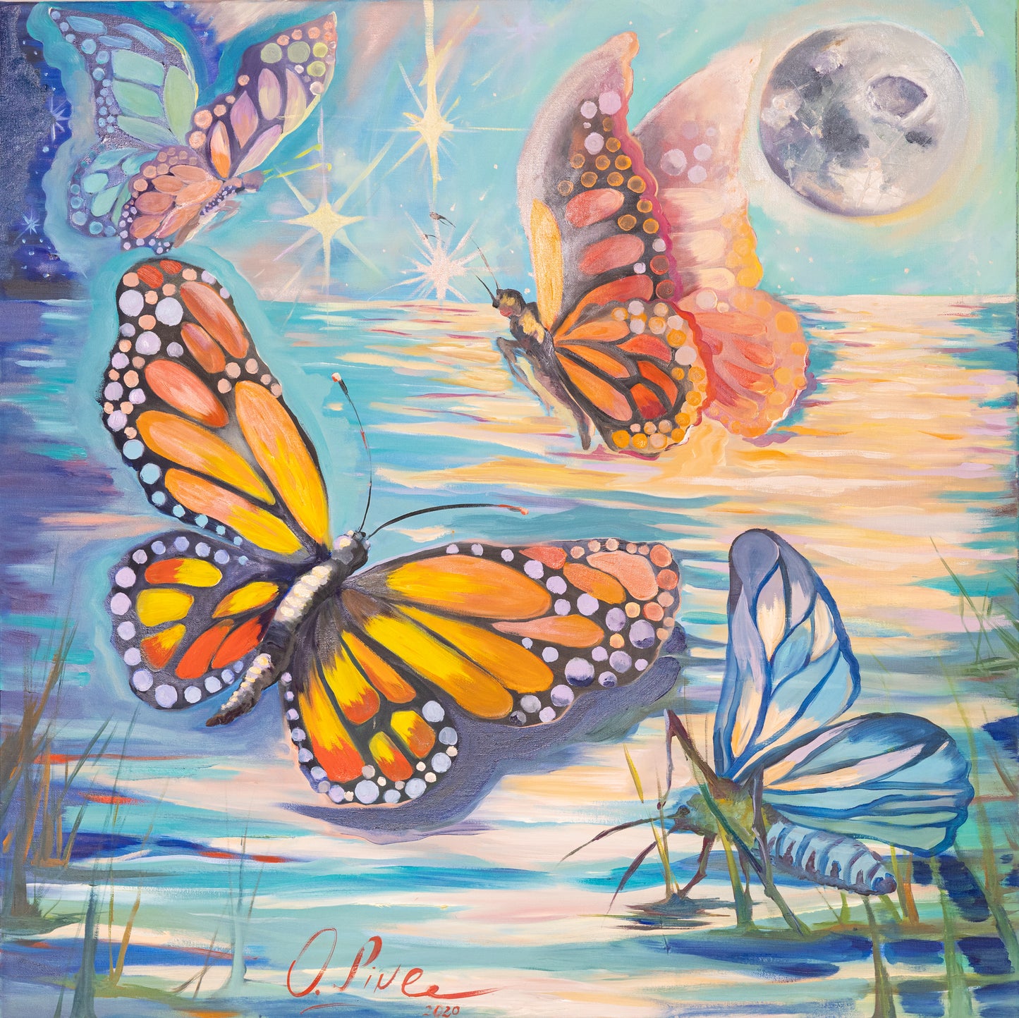 Flathead lake Montana 3 butterflies and a moth